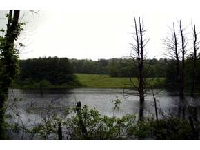 - Randall Hill Road Rockingham, VT 05101 - Photo 4 of 5