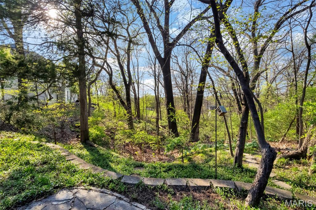 1201 Turnberry Ridge Court Chesterfield, MO 63005 - Photo 69 of 86