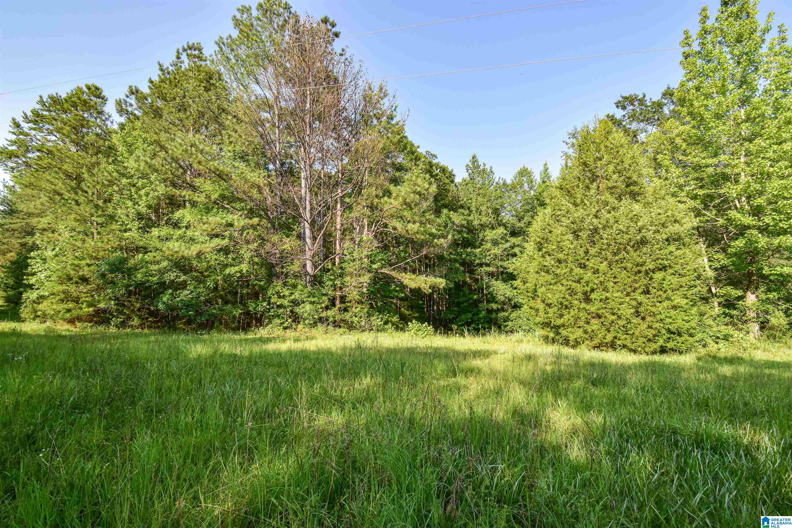 373 Myers Road Berry, AL 35546 - Photo 71 of 74