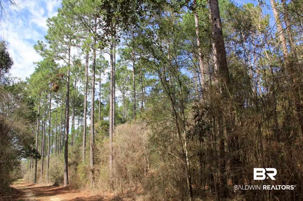 0 County Road 49 Loxley, AL 36551 - Photo 31 of 33