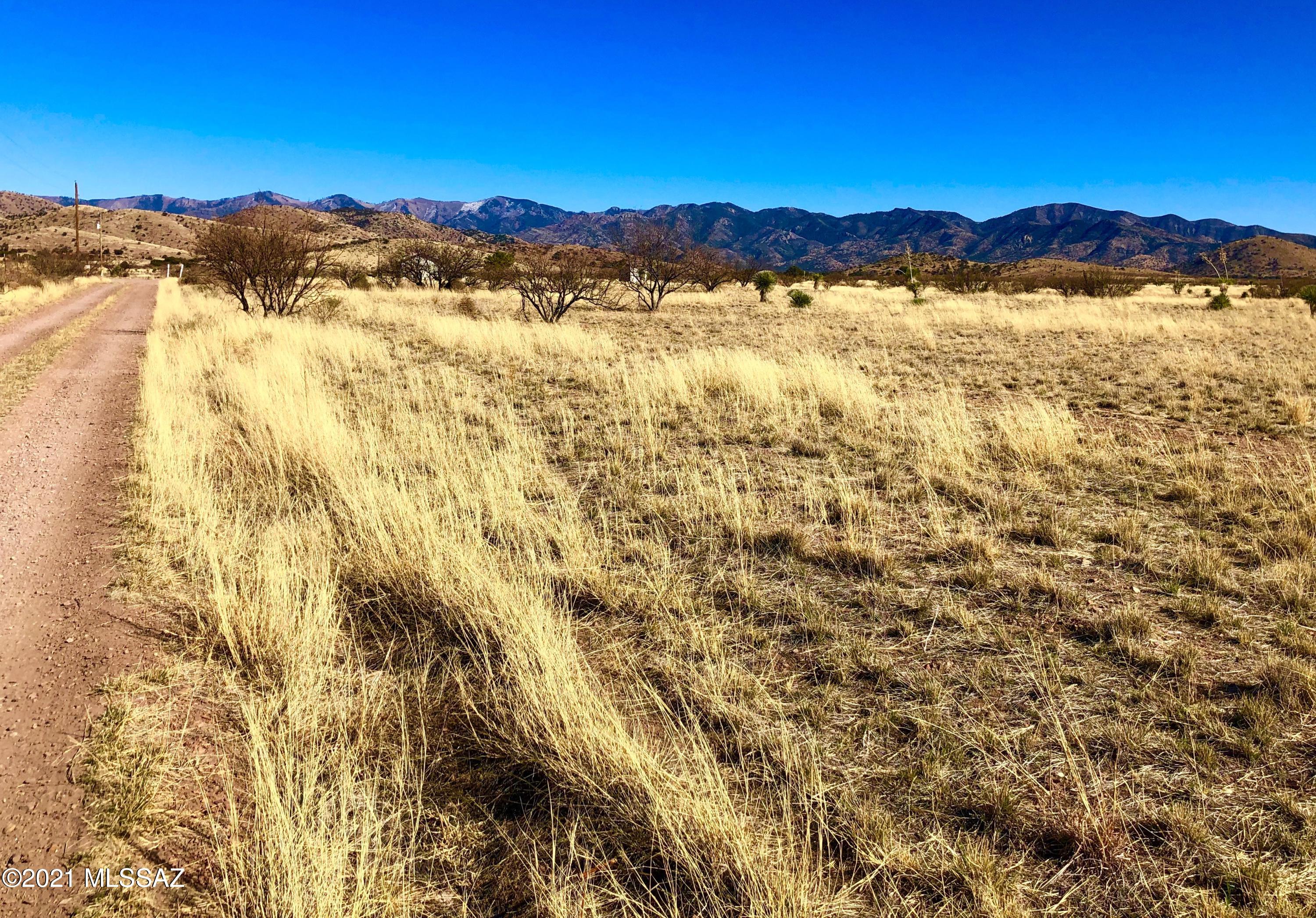 40.16 Ac Pearce, AZ 85625 - Photo 12 of 50