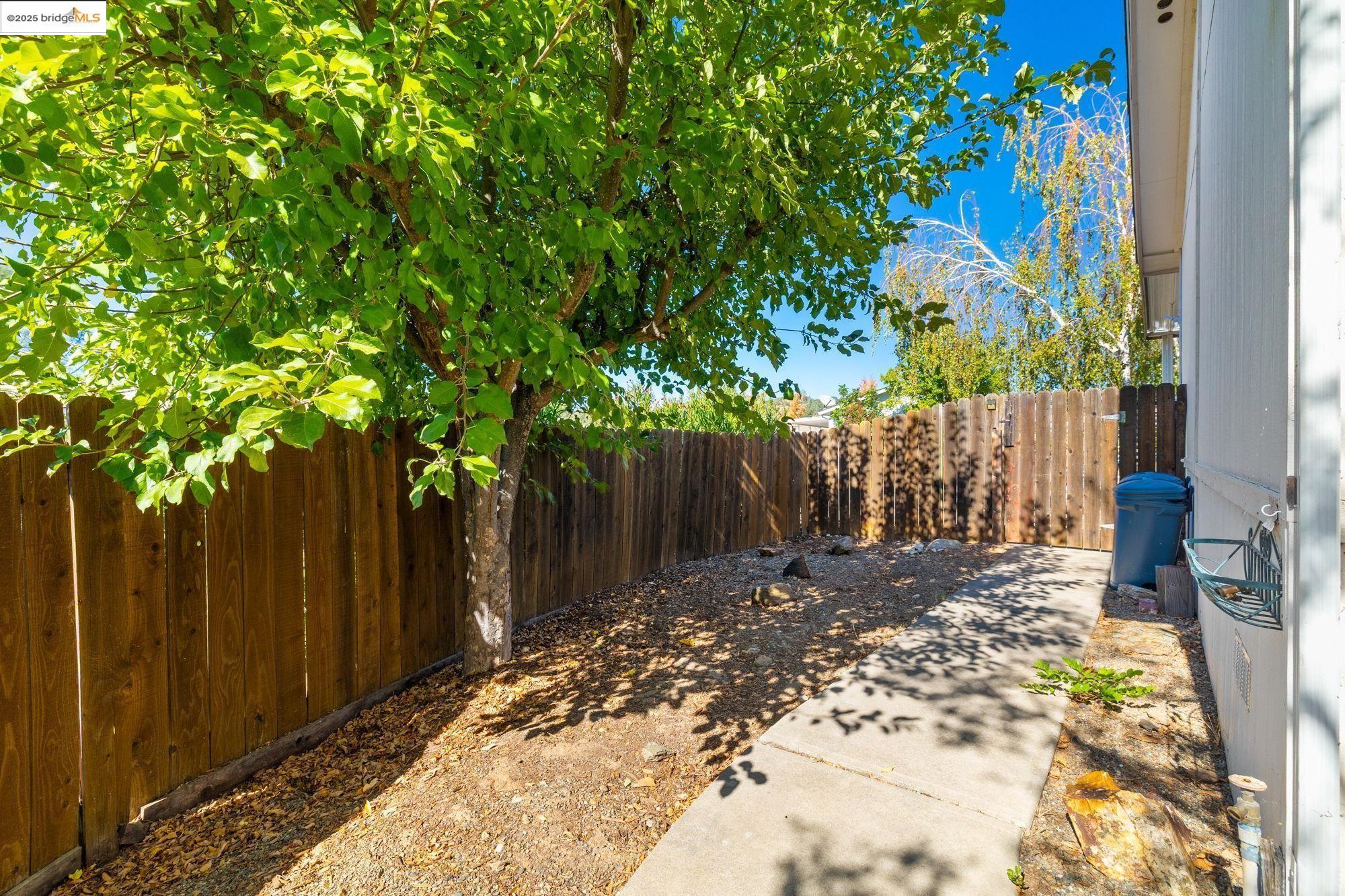 18717 Mill Villa Road, Unit 610 Jamestown, CA 95327 - Photo 24 of 35 a view of a backyard with a tree