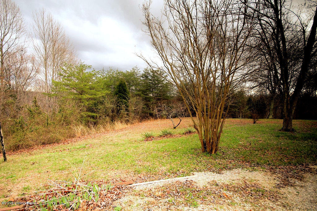 11186 Anneta Road Leitchfield, KY 42754 - Photo 5 of 33 5 11186 Annetta Rd