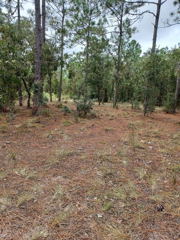 0 Southwest Timberlake Road Dunnellon, FL 34431 - Photo 1 of 1 Gallery Image 1