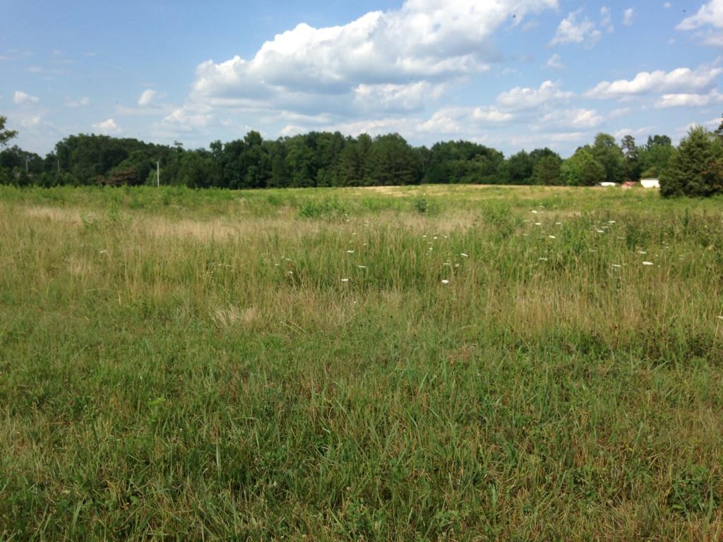 0 Bishop Road Lawrenceburg, TN 38464 - Photo 1 of 9 Gallery Image 1