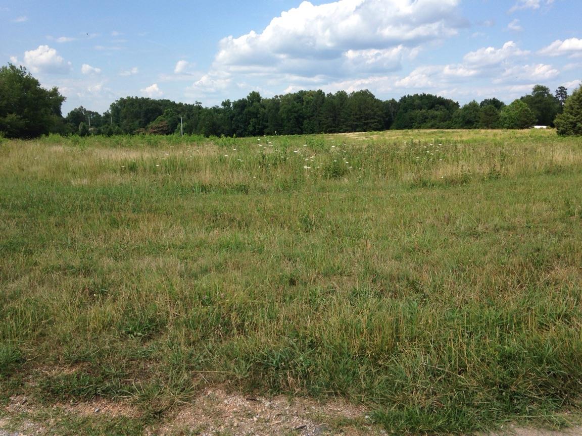 0 Bishop Road Lawrenceburg, TN 38464 - Photo 6 of 9 Gallery Image 6