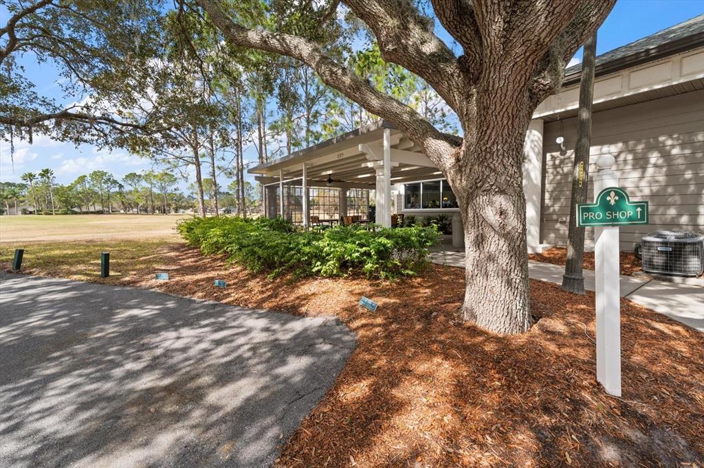 1237 Rambling Vine Court Trinity, FL 34655 - Photo 63 of 76