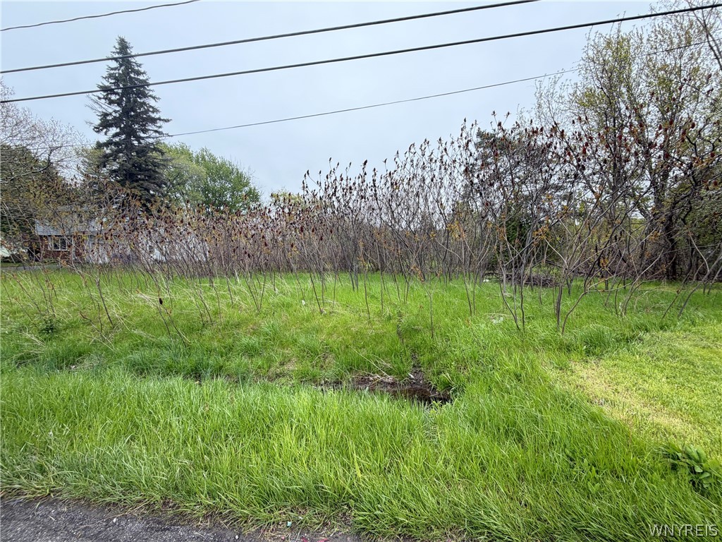 Vl Ridge Road Ransomville, NY 14131 - Photo 1 of 4