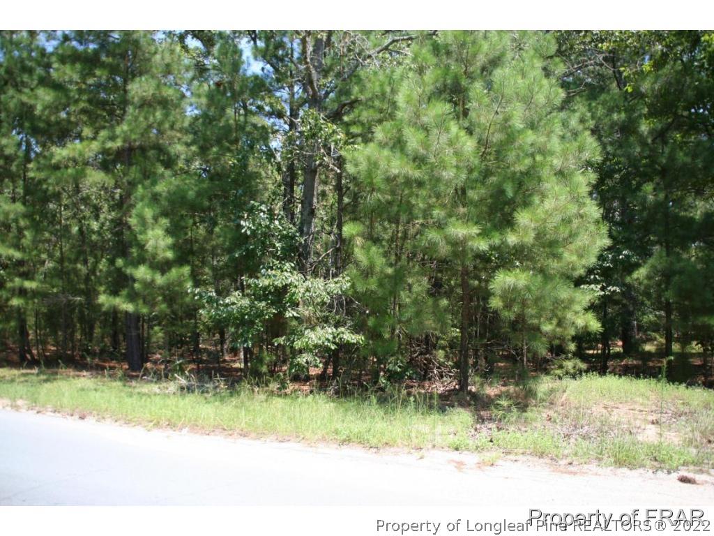 12 West Oaks Road Raeford, NC 28376 - Photo 1 of 8 a view of backyard with green space