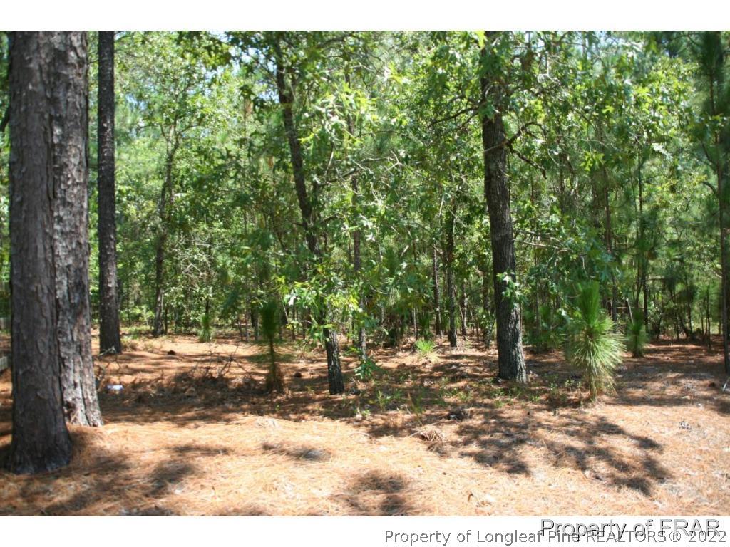 12 West Oaks Road Raeford, NC 28376 - Photo 3 of 8 a view of yard