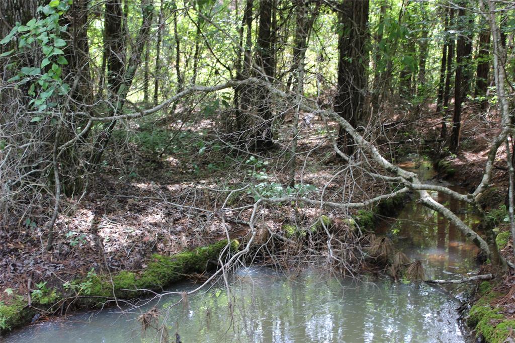 0 Moody Road Minden, LA 71055 - Photo 12 of 40