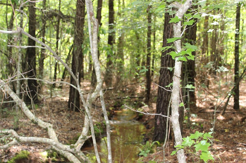 0 Moody Road Minden, LA 71055 - Photo 13 of 40