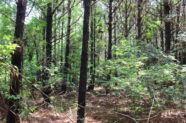 $118,000 | 0 Moody Road, Minden, LA 71055