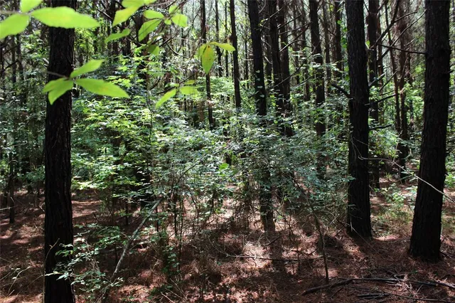 $118,000 | 0 Moody Road, Minden, LA 71055