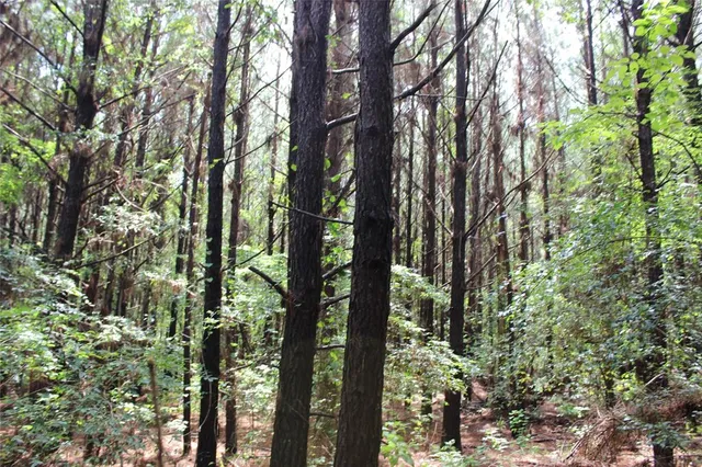 $118,000 | 0 Moody Road, Minden, LA 71055