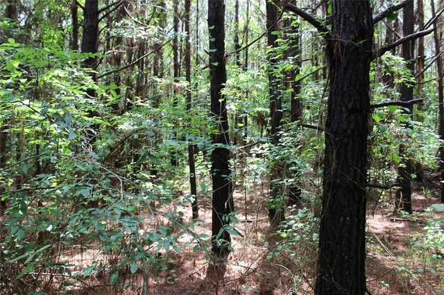 $118,000 | 0 Moody Road, Minden, LA 71055