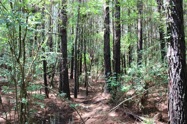 $118,000 | 0 Moody Road, Minden, LA 71055