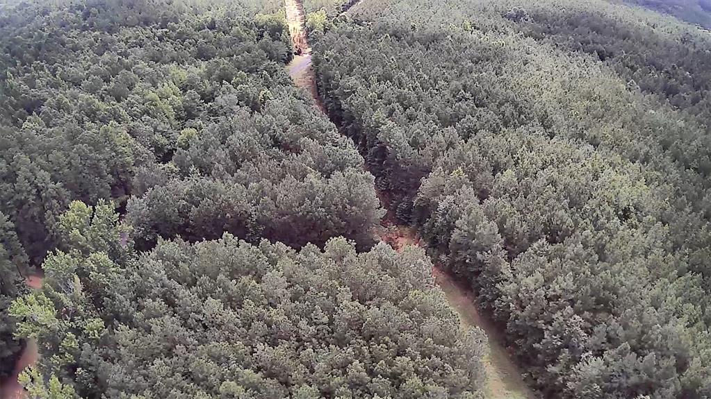 0 Moody Road Minden, LA 71055 - Photo 2 of 40