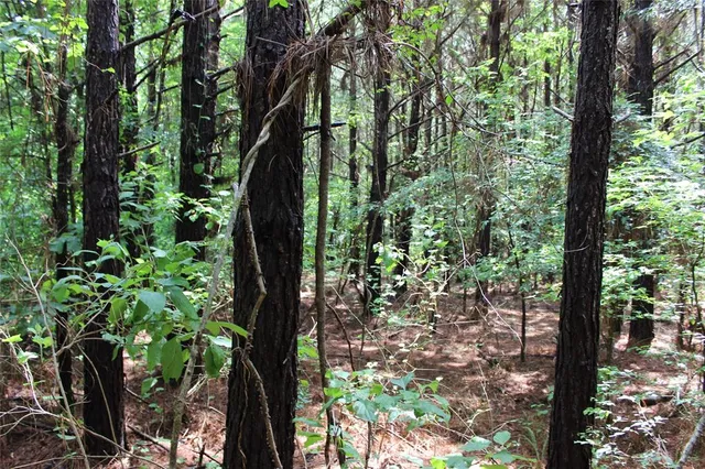 $118,000 | 0 Moody Road, Minden, LA 71055