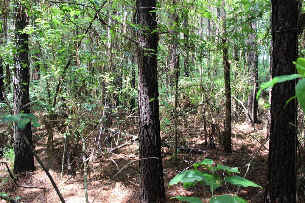 0 Moody Road Minden, LA 71055 - Photo 23 of 40