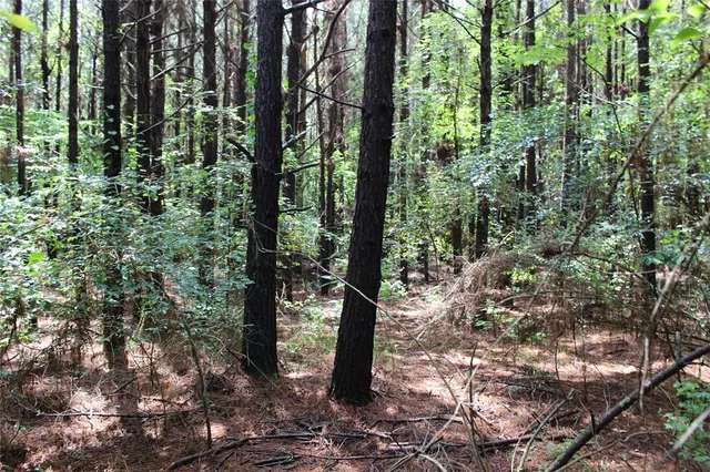 $118,000 | 0 Moody Road, Minden, LA 71055