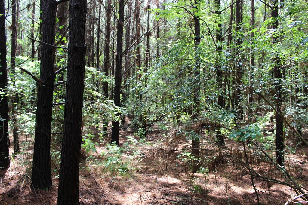 0 Moody Road Minden, LA 71055 - Photo 25 of 40