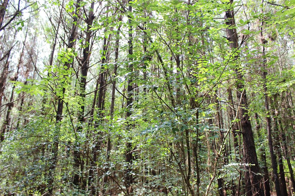 0 Moody Road Minden, LA 71055 - Photo 26 of 40