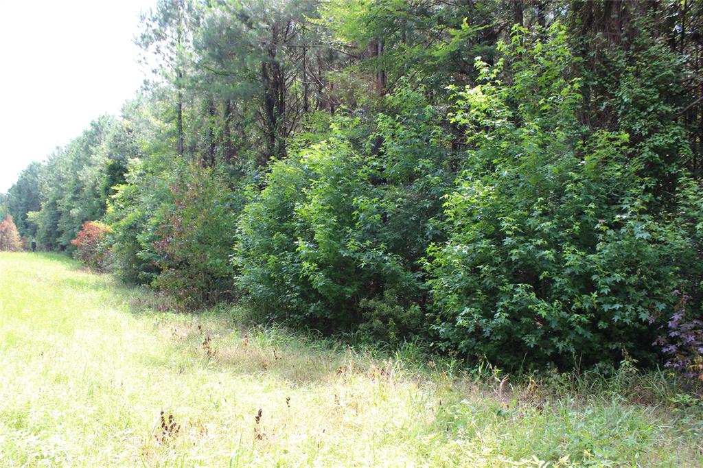 0 Moody Road Minden, LA 71055 - Photo 27 of 40