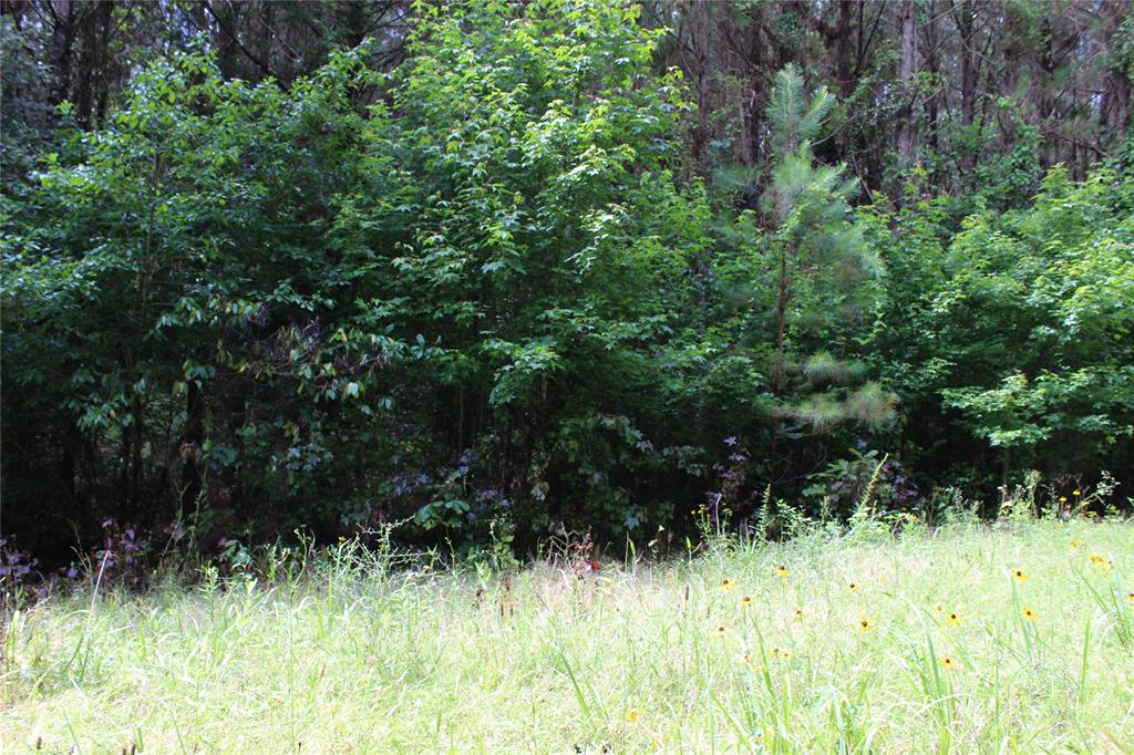 0 Moody Road Minden, LA 71055 - Photo 28 of 40