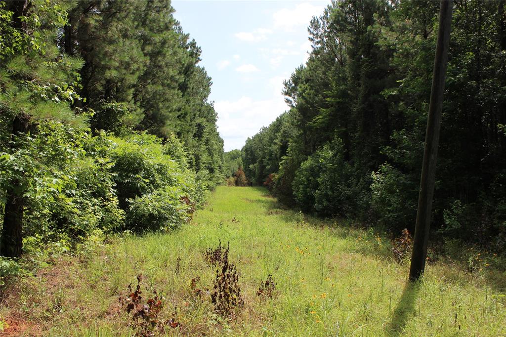 0 Moody Road Minden, LA 71055 - Photo 29 of 40