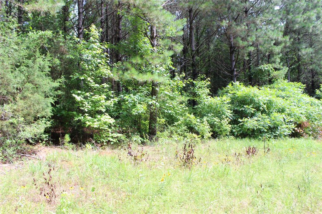 0 Moody Road Minden, LA 71055 - Photo 30 of 40