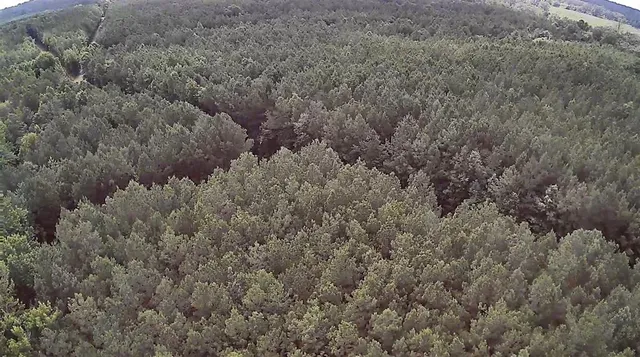 $118,000 | 0 Moody Road, Minden, LA 71055