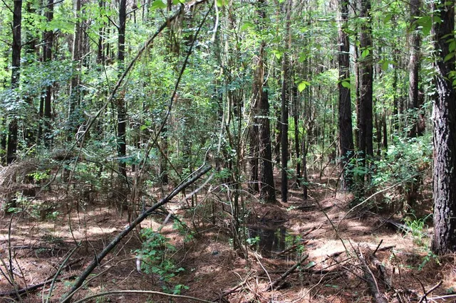 $118,000 | 0 Moody Road, Minden, LA 71055