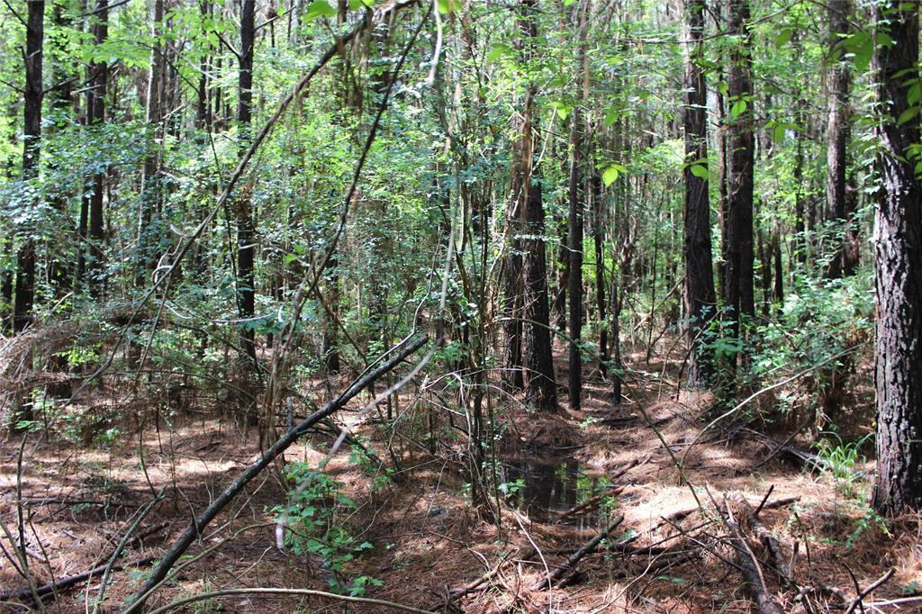 0 Moody Road Minden, LA 71055 - Photo 31 of 40