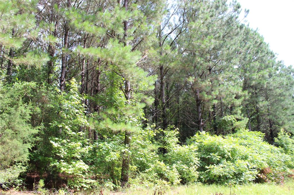 0 Moody Road Minden, LA 71055 - Photo 33 of 40