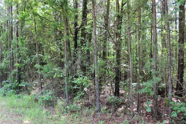 $118,000 | 0 Moody Road, Minden, LA 71055