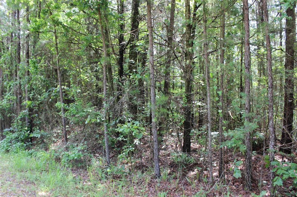 0 Moody Road Minden, LA 71055 - Photo 34 of 40