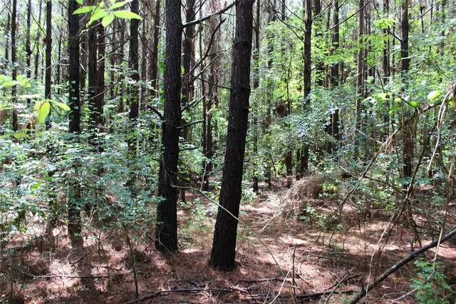 $118,000 | 0 Moody Road, Minden, LA 71055