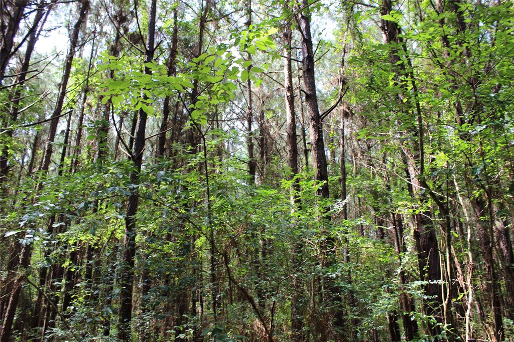 0 Moody Road Minden, LA 71055 - Photo 36 of 40