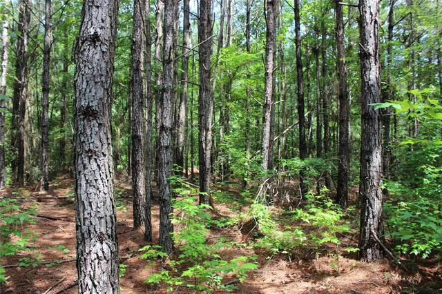 $118,000 | 0 Moody Road, Minden, LA 71055