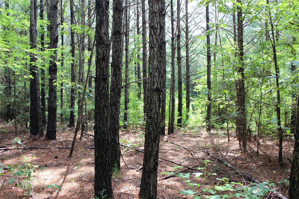 0 Moody Road Minden, LA 71055 - Photo 38 of 40