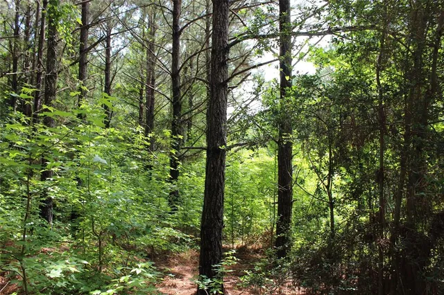 $118,000 | 0 Moody Road, Minden, LA 71055