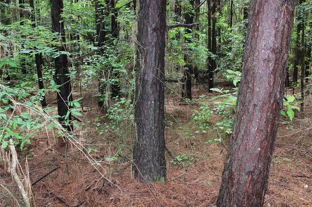 $118,000 | 0 Moody Road, Minden, LA 71055