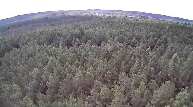 $118,000 | 0 Moody Road, Minden, LA 71055