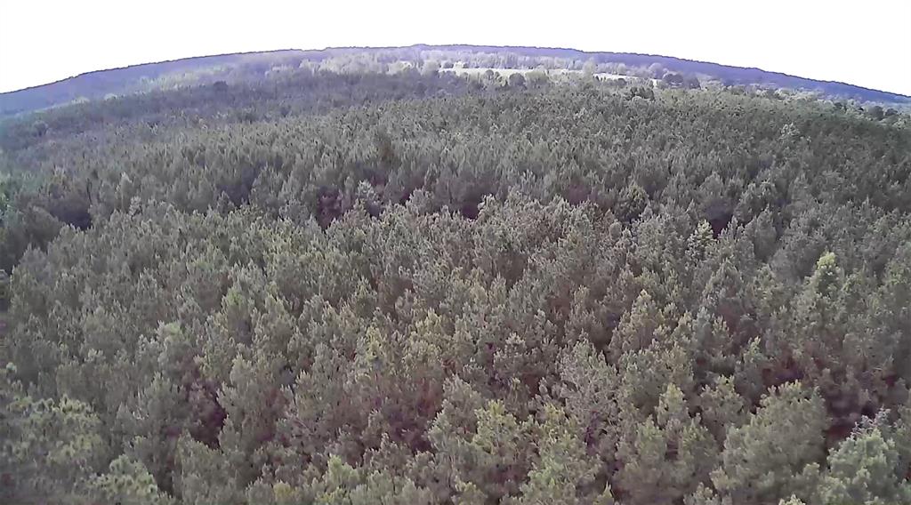 0 Moody Road Minden, LA 71055 - Photo 4 of 40