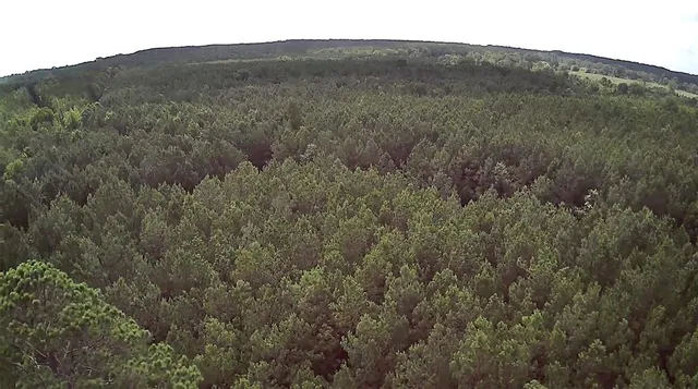 $118,000 | 0 Moody Road, Minden, LA 71055