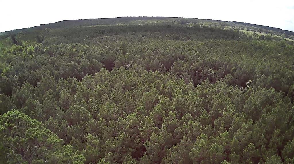 0 Moody Road Minden, LA 71055 - Photo 5 of 40