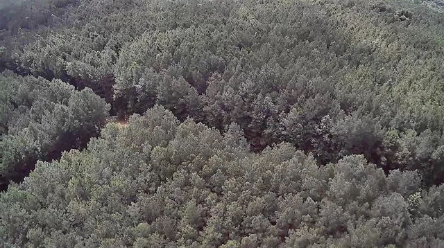 $118,000 | 0 Moody Road, Minden, LA 71055