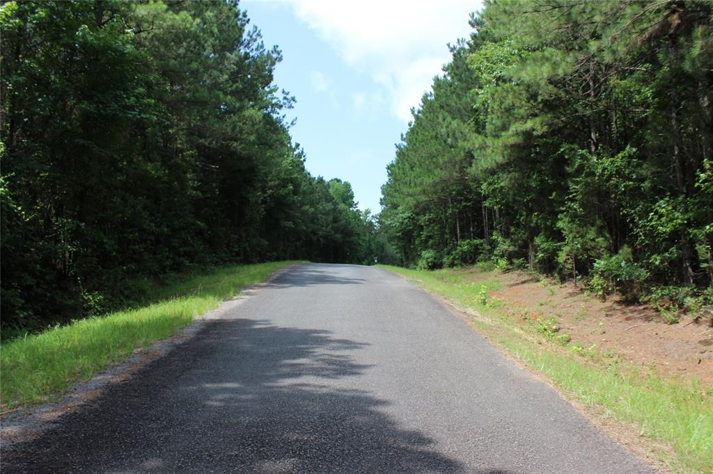 0 Moody Road Minden, LA 71055 - Photo 9 of 40