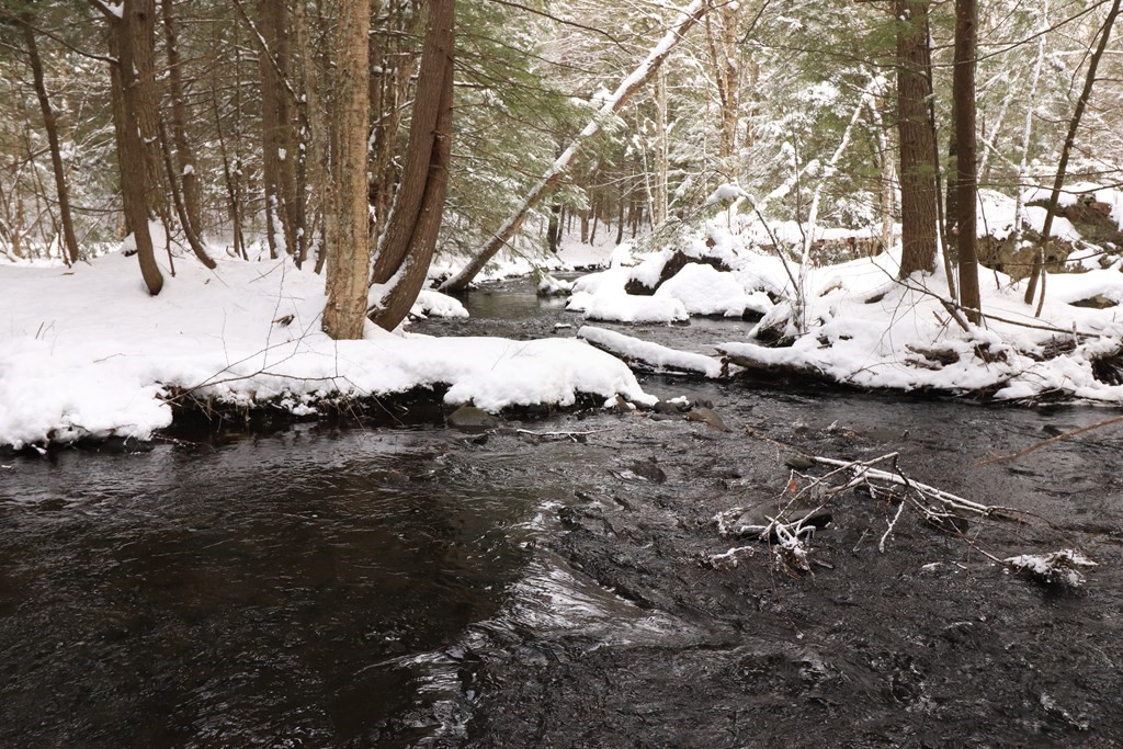 926 Watson Spruce Corner Road Ashfield, MA 01330 - Photo 11 of 42 Gallery Image 11